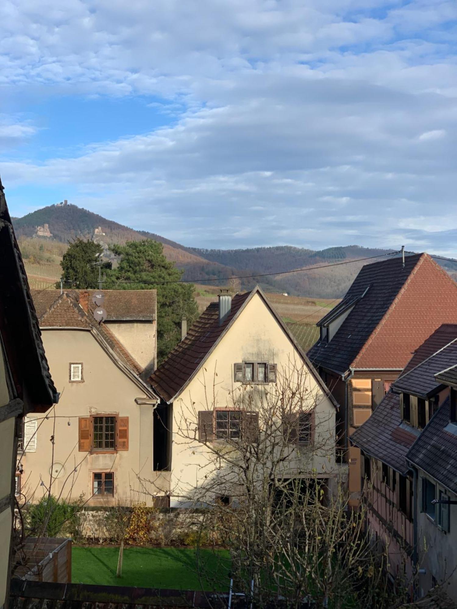 Appartamento Chez Suzel Hunawihr Esterno foto