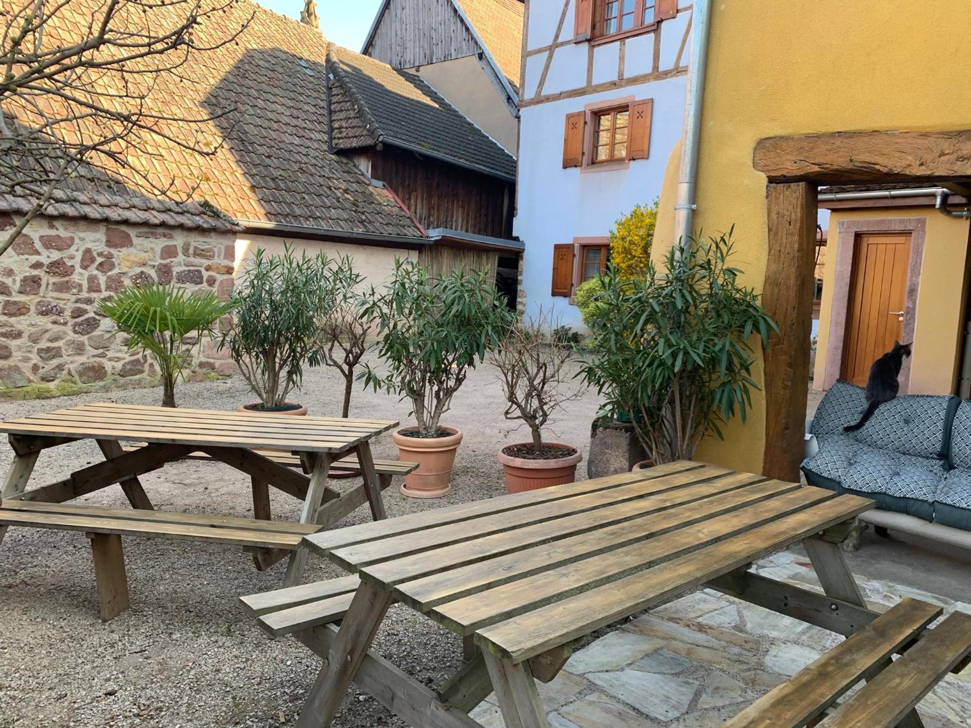 Appartamento Chez Suzel Hunawihr Esterno foto